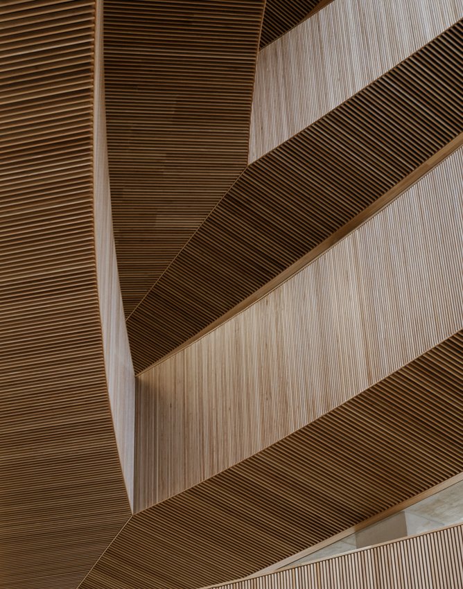 Gord Webster - Wood Ceilings.jpg