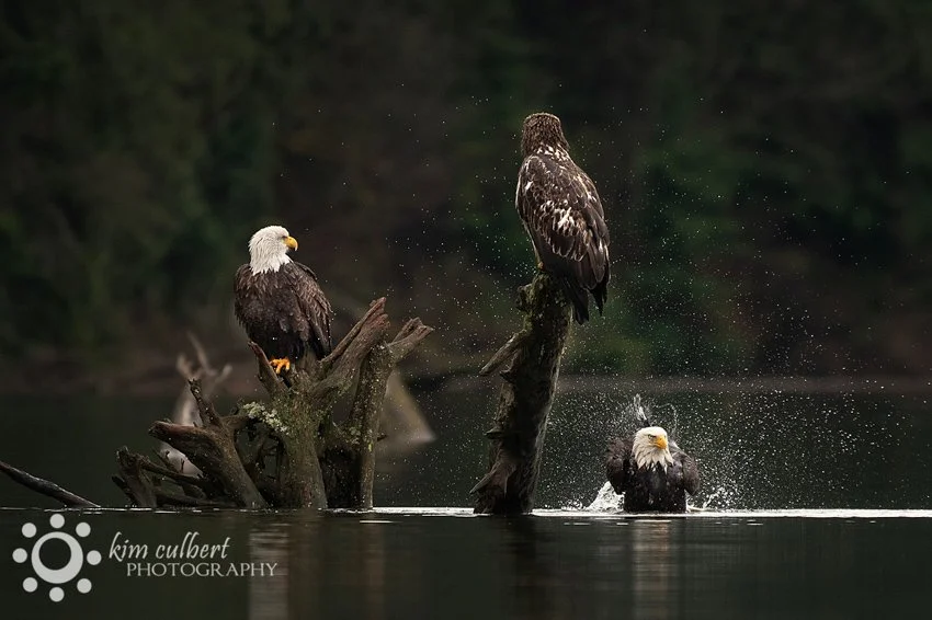 Family Bath Time