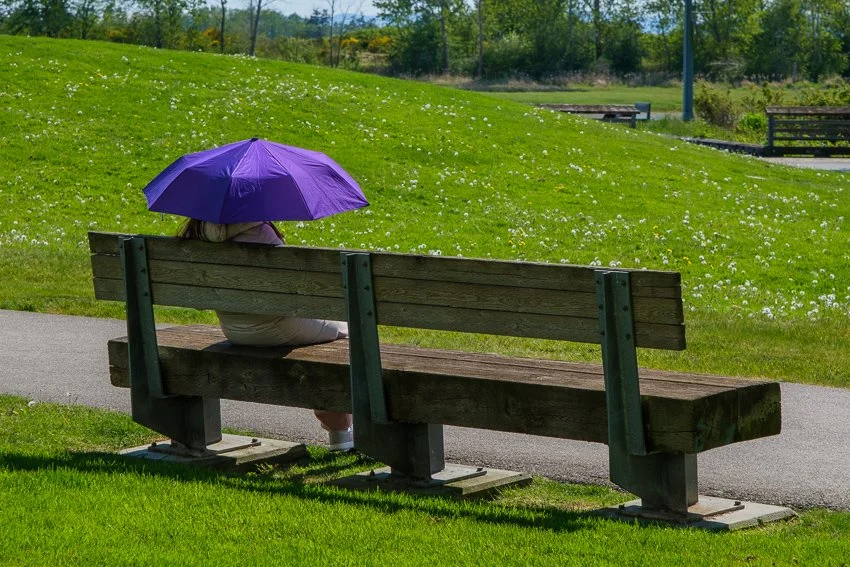 Gord Webster - Purple Umbrella.jpg
