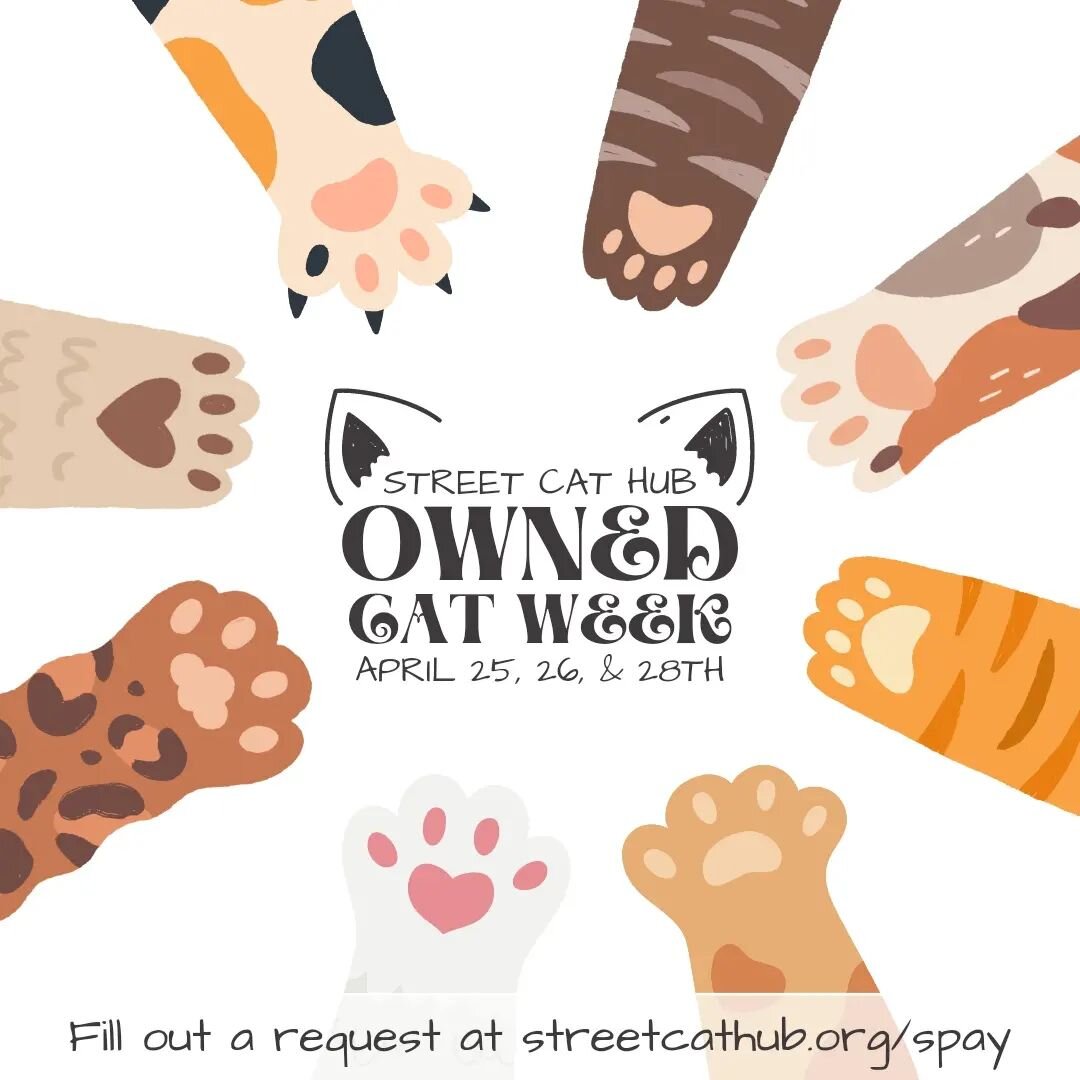 Owned cat week is coming up fast! Get your surgery scheduled today!

We offer a low-cost spay/neuter package for $195 per cat. This package includes a spay or neuter, a 1-year FVRCP vaccine, a 1-year rabies vaccine, and a microchip with registration.
