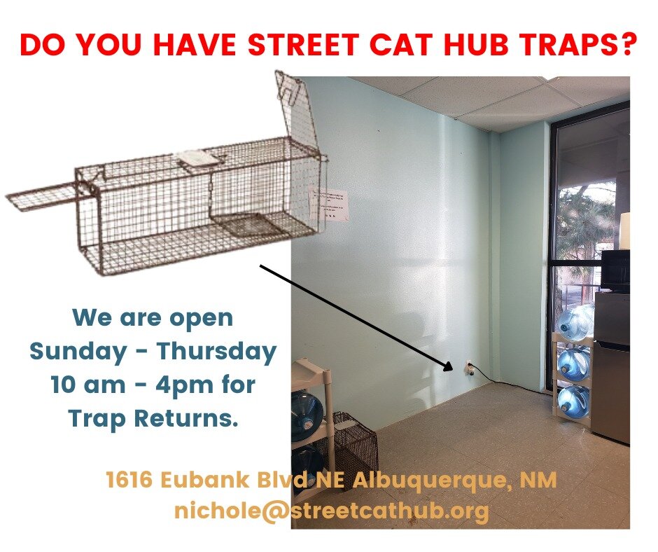 😳 We seem to be short on traps! 🤯 

Our TNR program works best when we have traps to loan to folks who are able and willing to trap on their own. If you have a Street Cat Hub trap hidden away in your garage or planned to trap that last stubborn cat