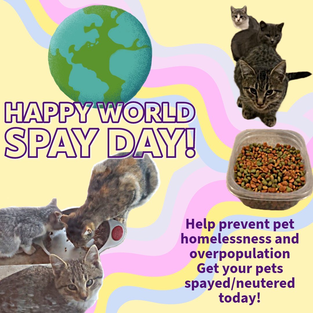 While Street Cat Hub is not providing spay/neuter services for owned pets, we encourage you all to find your local veterinary clinics before you adopt. If you are &quot;chosen&quot; by a stray, be sure to put a plan in action to have them spayed/neut