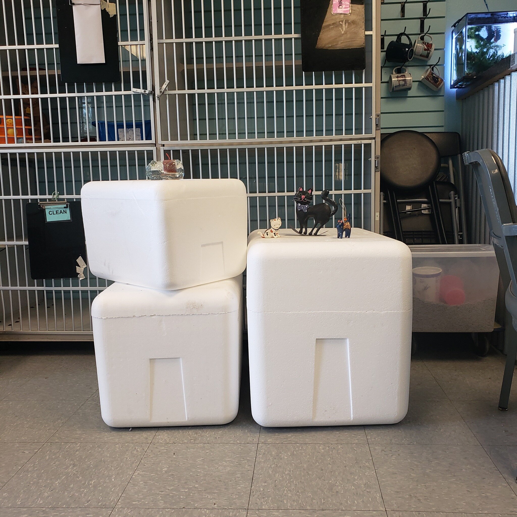 It may be warming up, but you never know when that next cold front may come in. We have three Styrofoam containers available for anyone who wants to DIY a cat shelter.  We'll be at our office 1616 Eubank Blvd NE today until 4pm and tomorrow, Friday 3