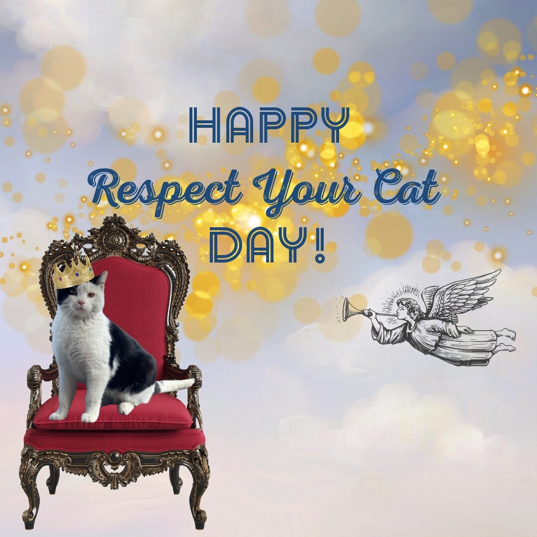 Did you know that today, March 28th, is &quot;Respect Your Cat&quot; Day? It's only the most important holiday of the year! If you're fishing for an excuse to celebrate and adore your cats, here it is😉 

To show your love of unowned Community Cats, 