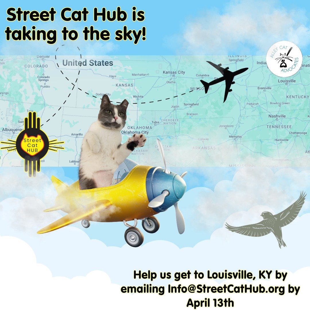 Street Cat Hub is taking to the sky! 

We are sending a small group of the Street Cat Hub team to Louisville, Kentucky to visit our friends at @alleycatadvocates. TNR and Animal Welfare are always evolving to ensure the best practices and care for th