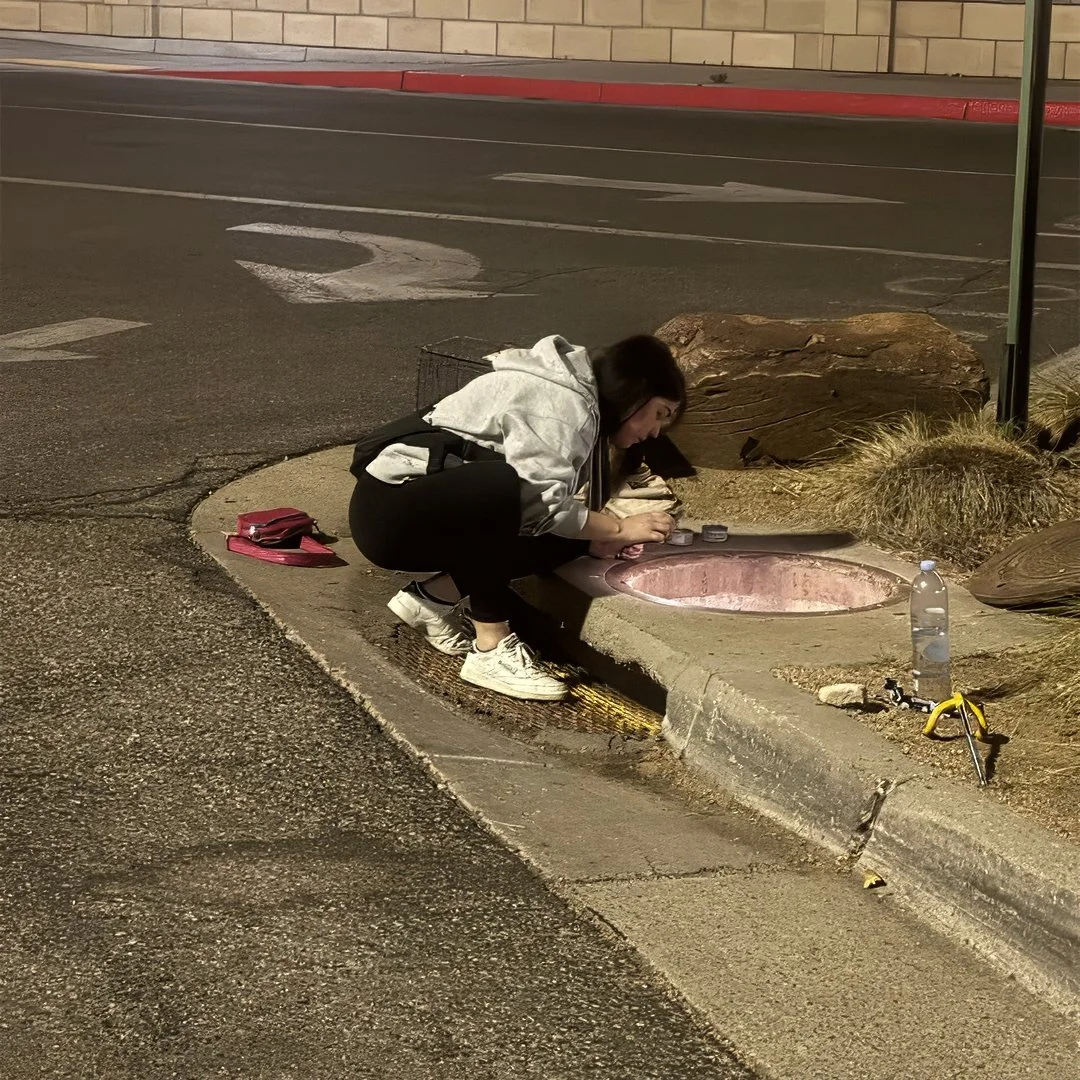 They Didn't Stop Until Every Cat Was Safe