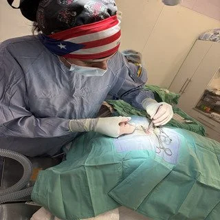 Clinic Chronicles:  129 Cats in One Week. 