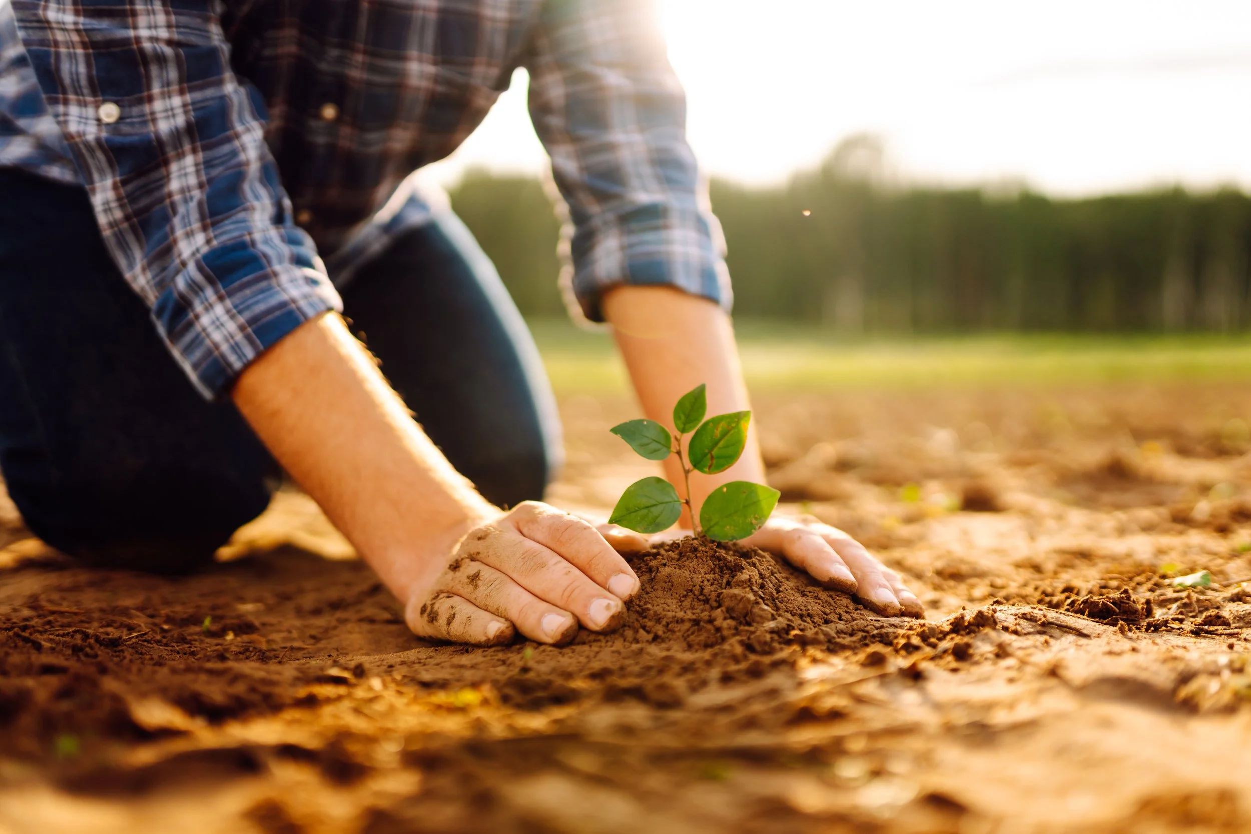 More Than A Story: It’s A Catalyst For Change