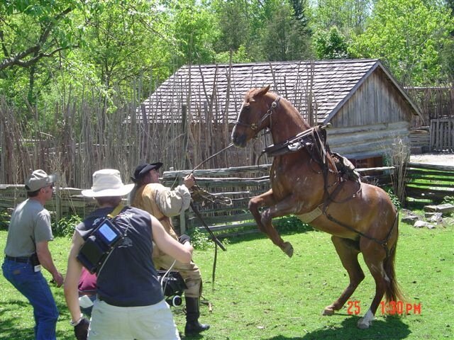 stunts-cj-horse-felicity-florida.jpg