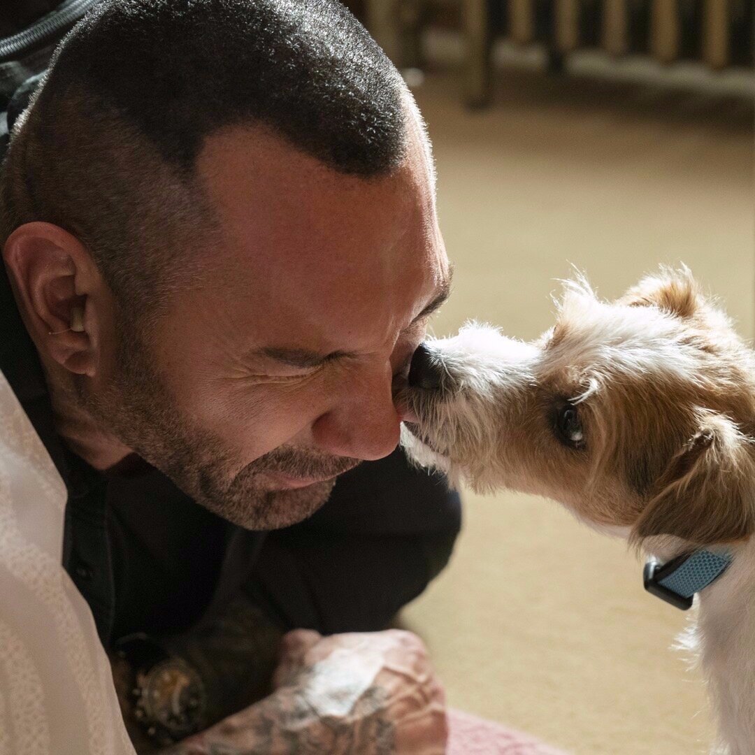 Dave Bautista and Spade in My Spy