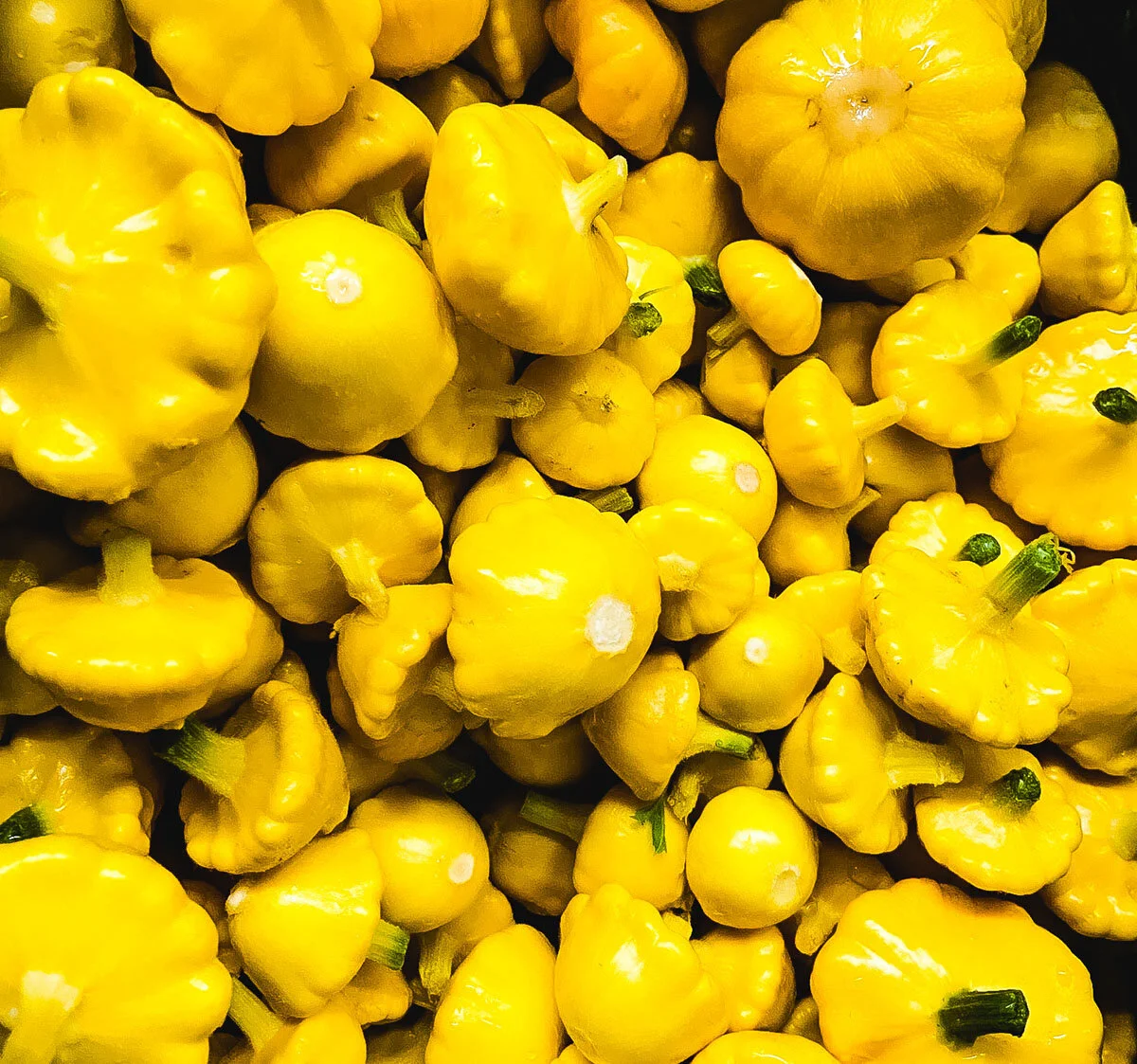 Baby squash.jpg