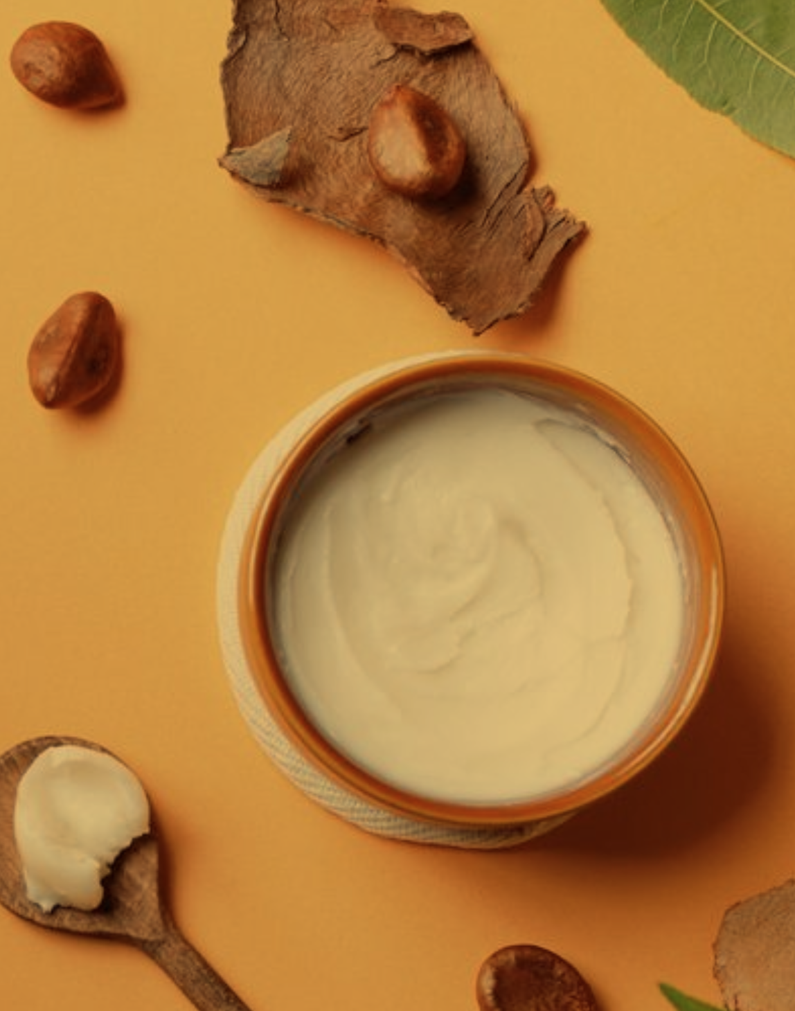 Screenshot 2026-03-24 at 10.00.50 AM.png