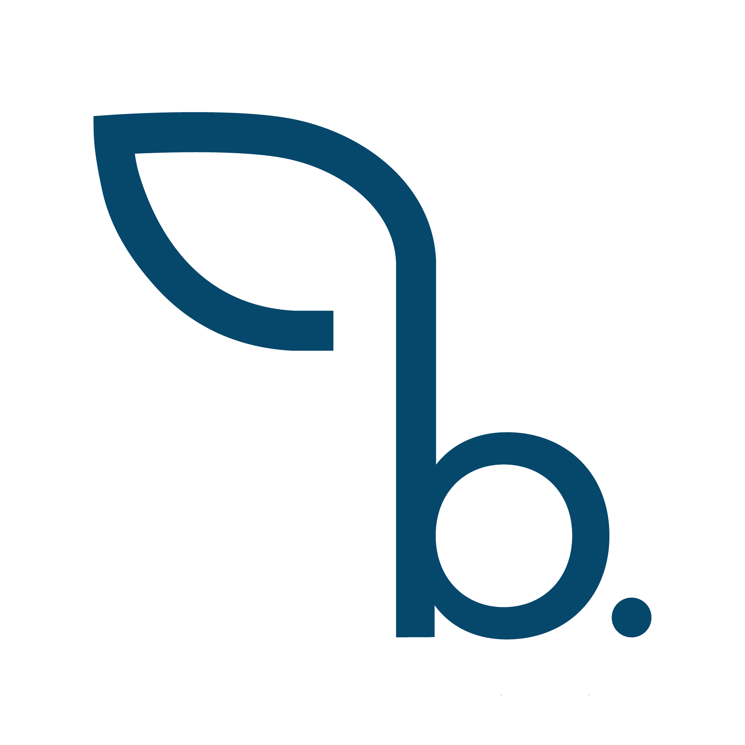 BB logo.png