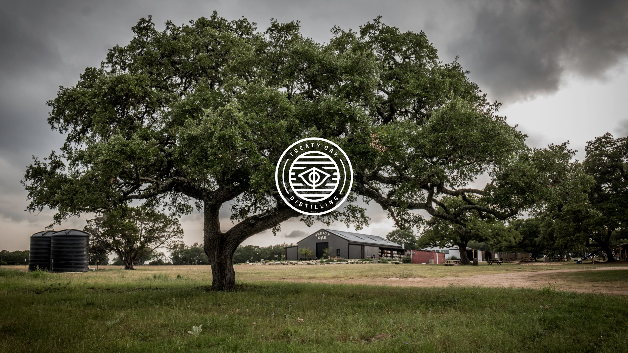 Treaty Oak Header for Website.jpg