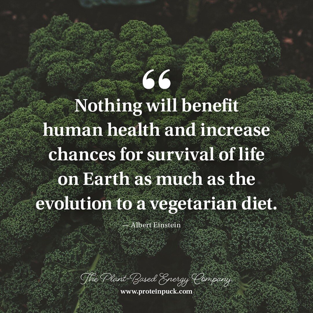 Nothing will benefit human health and increase chances for survival of life on Earth as much as the evolution to a vegetarian diet.⁠
⁠
&mdash; Albert Einstein⁠
⁠
Check out our partner&mdash;Protein Puck. They make delicious, gluten-free, non-GMO, pla