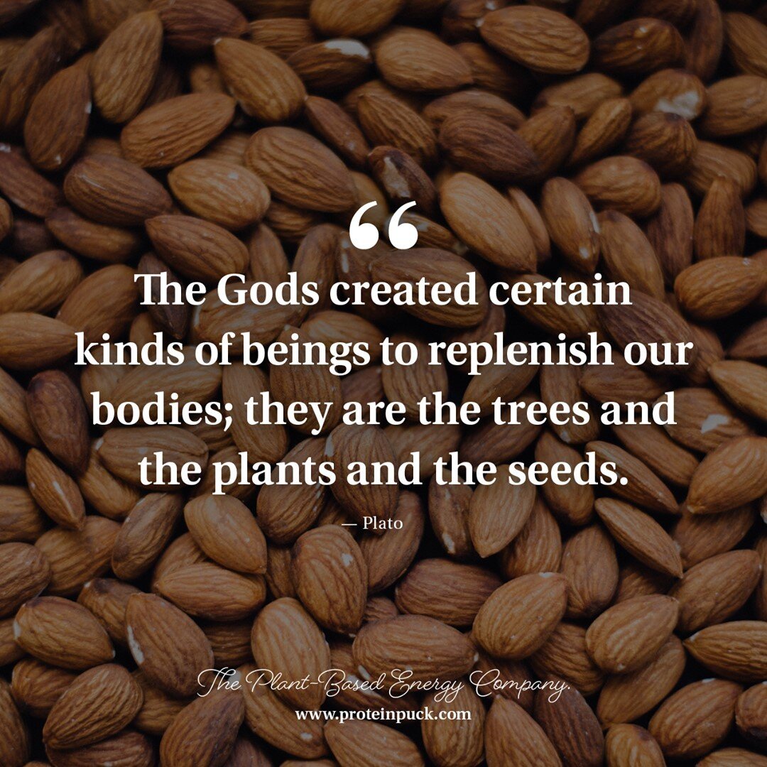 The Gods created certain kinds of beings to replenish our bodies; they are the trees and the plants and the seeds.⁠
⁠
&mdash; Plato⁠
⁠
Check out our partner&mdash;Protein Puck. They make delicious, gluten-free, non-GMO, plant-based energy bars. Snack