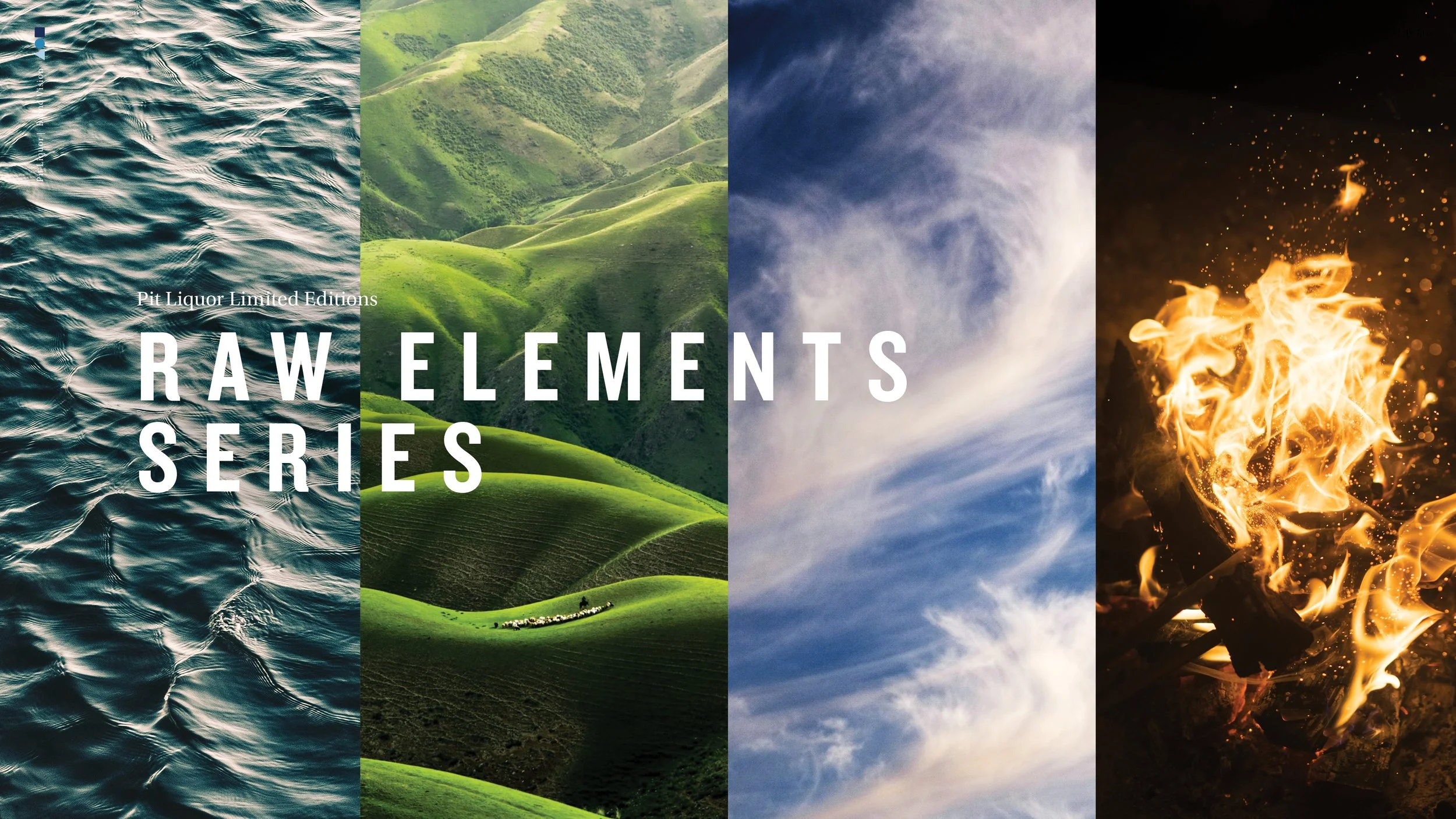 Raw Elements Cover.jpg
