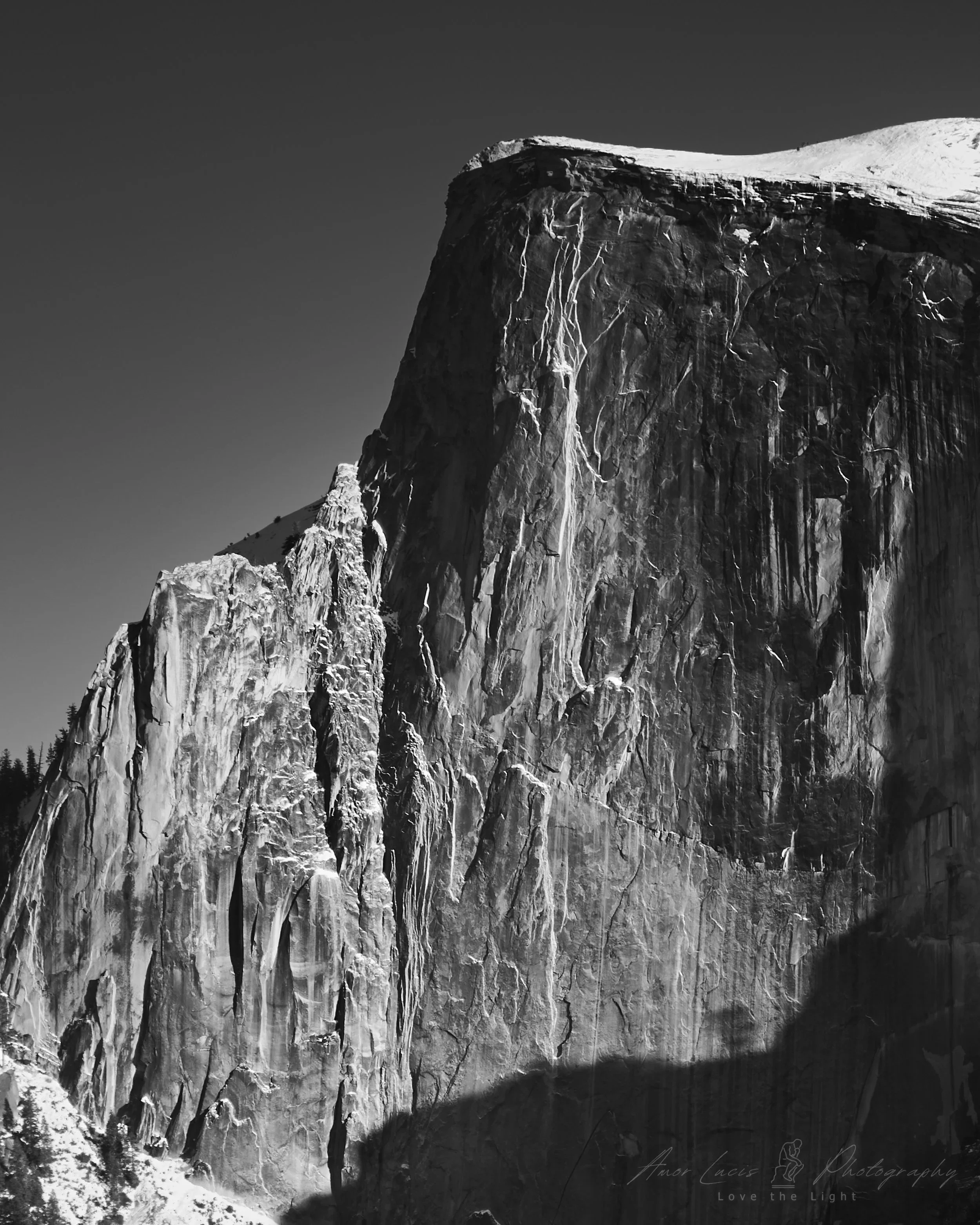 Does Originality Matter?