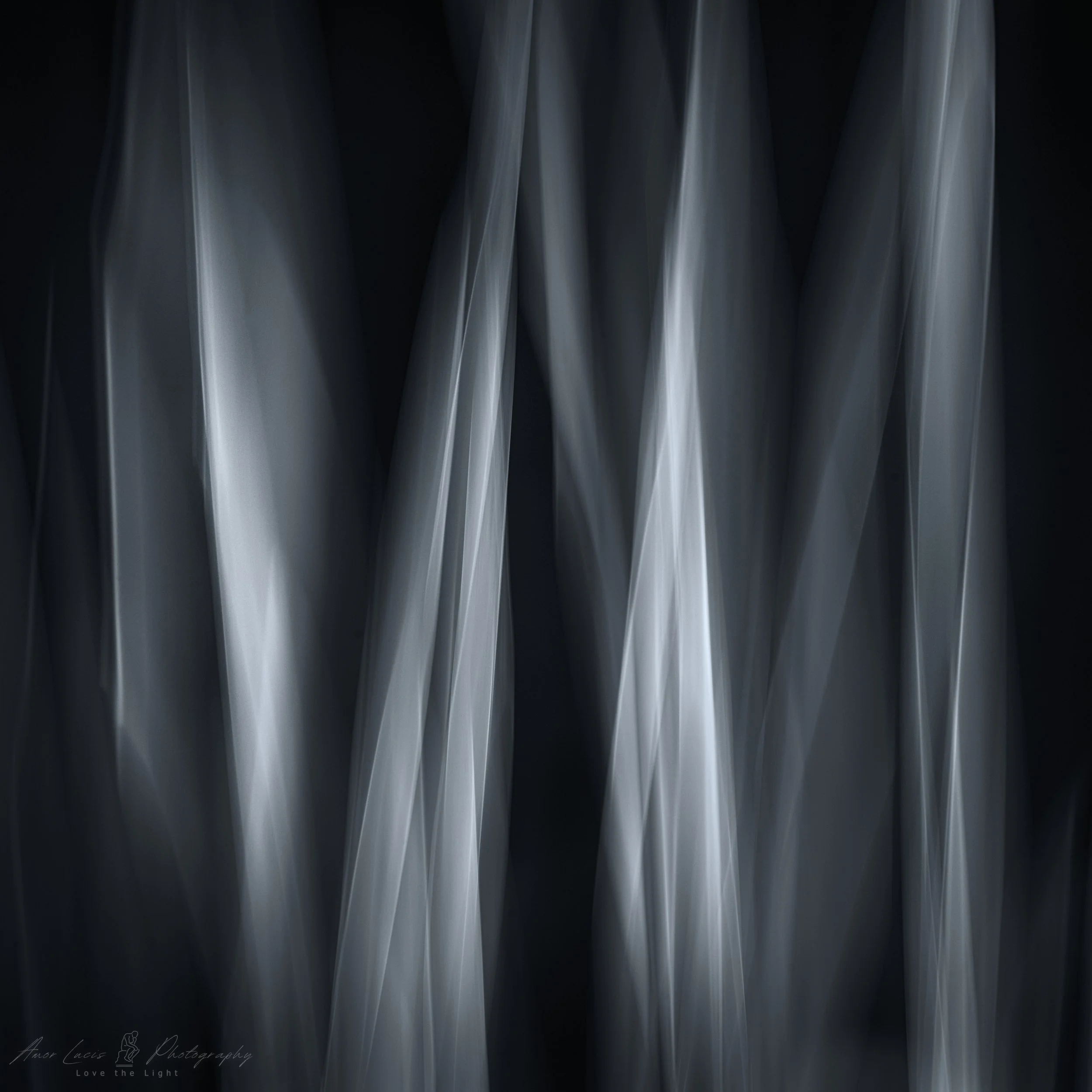 MNG01081.jpg