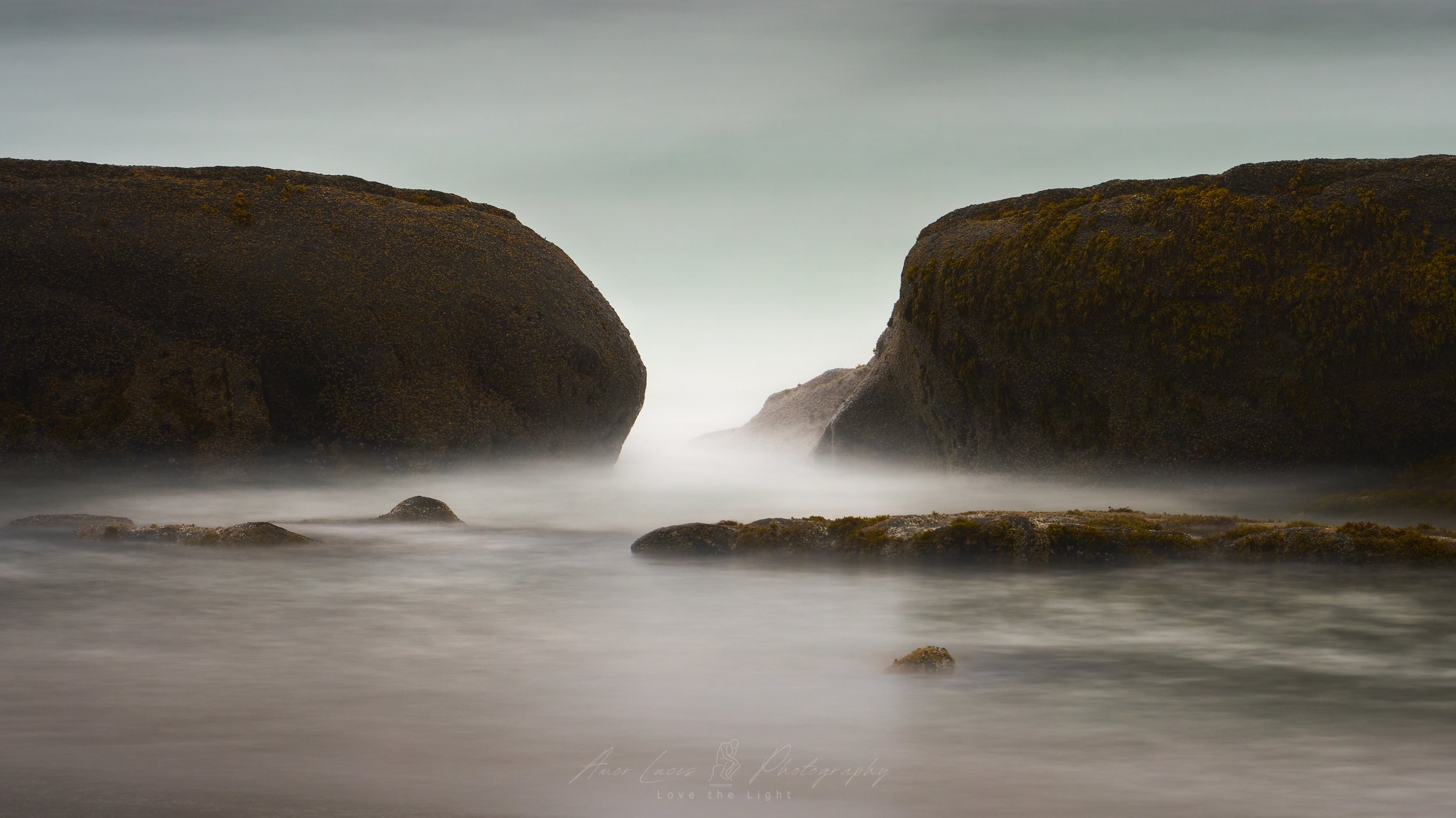 What Dreams May Come