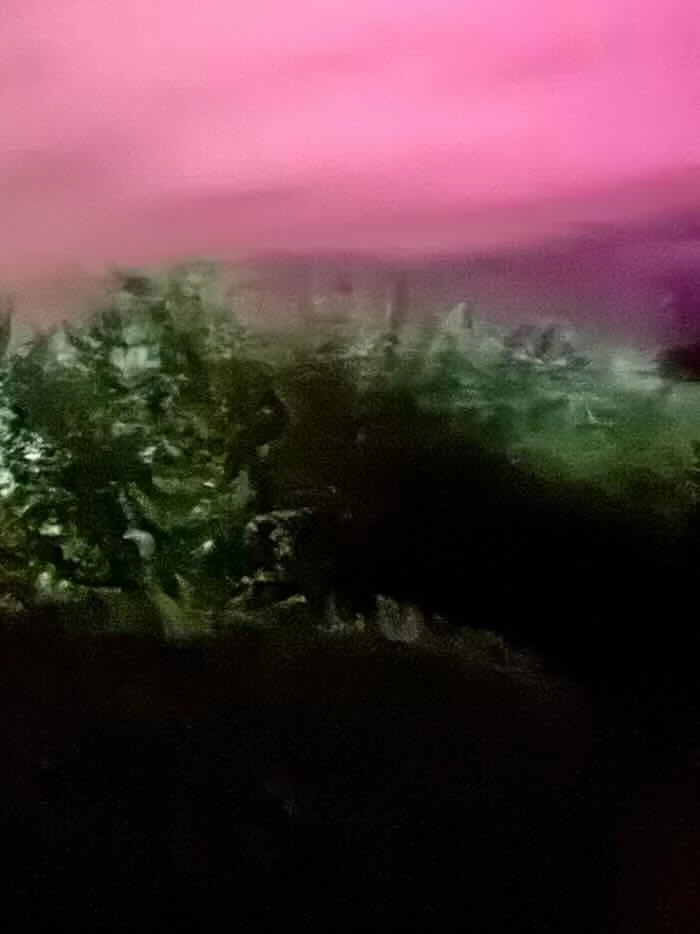 IMG_9039.jpeg
