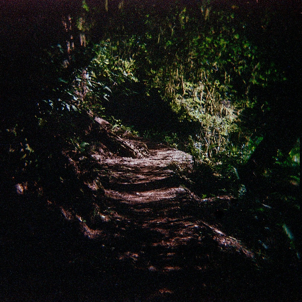 pc_H_Color_Redwood2-3.jpg