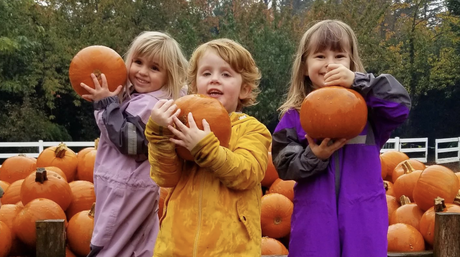 Preschool Pumpkin Patch Field Trip