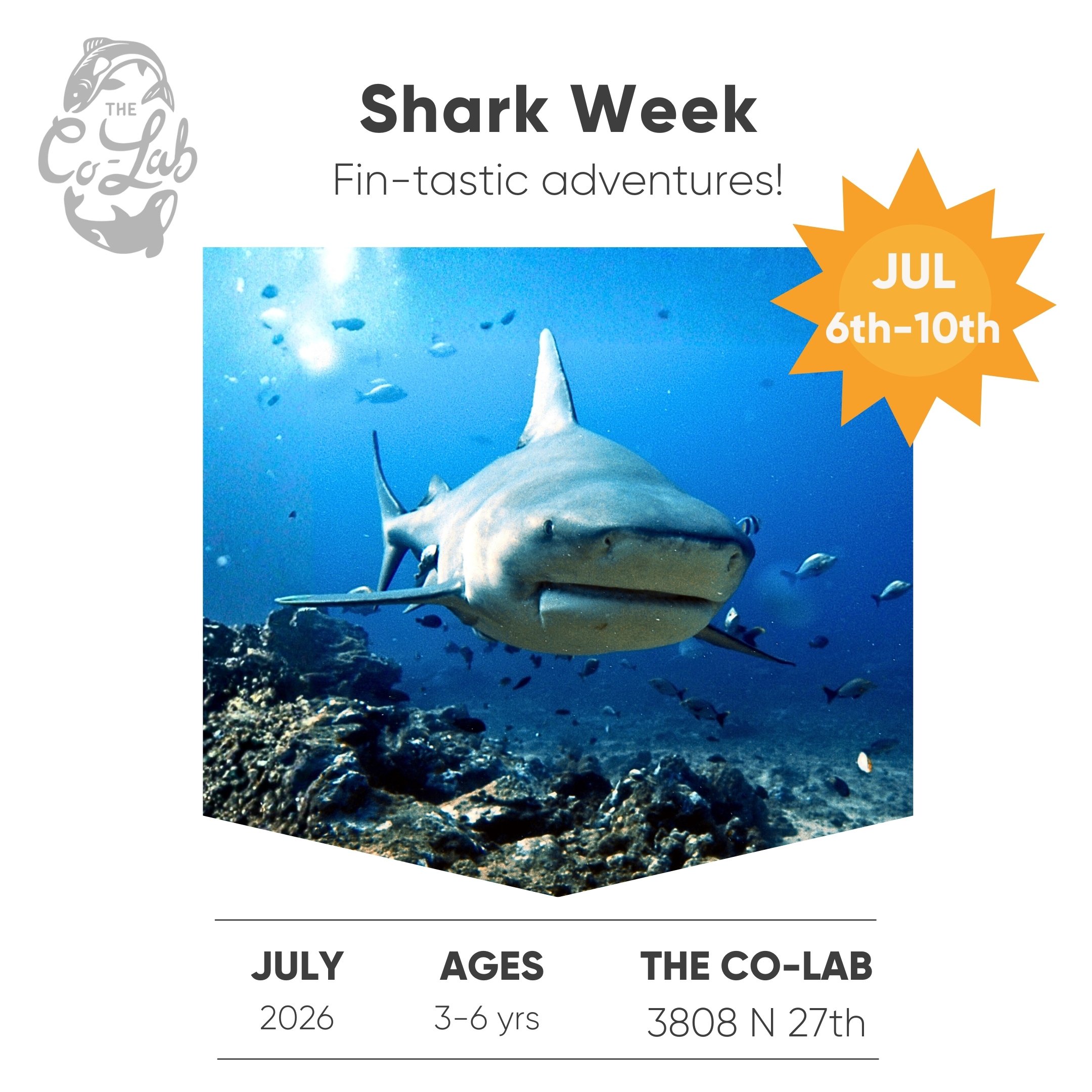 7/6 - 7/10 | Shark Week