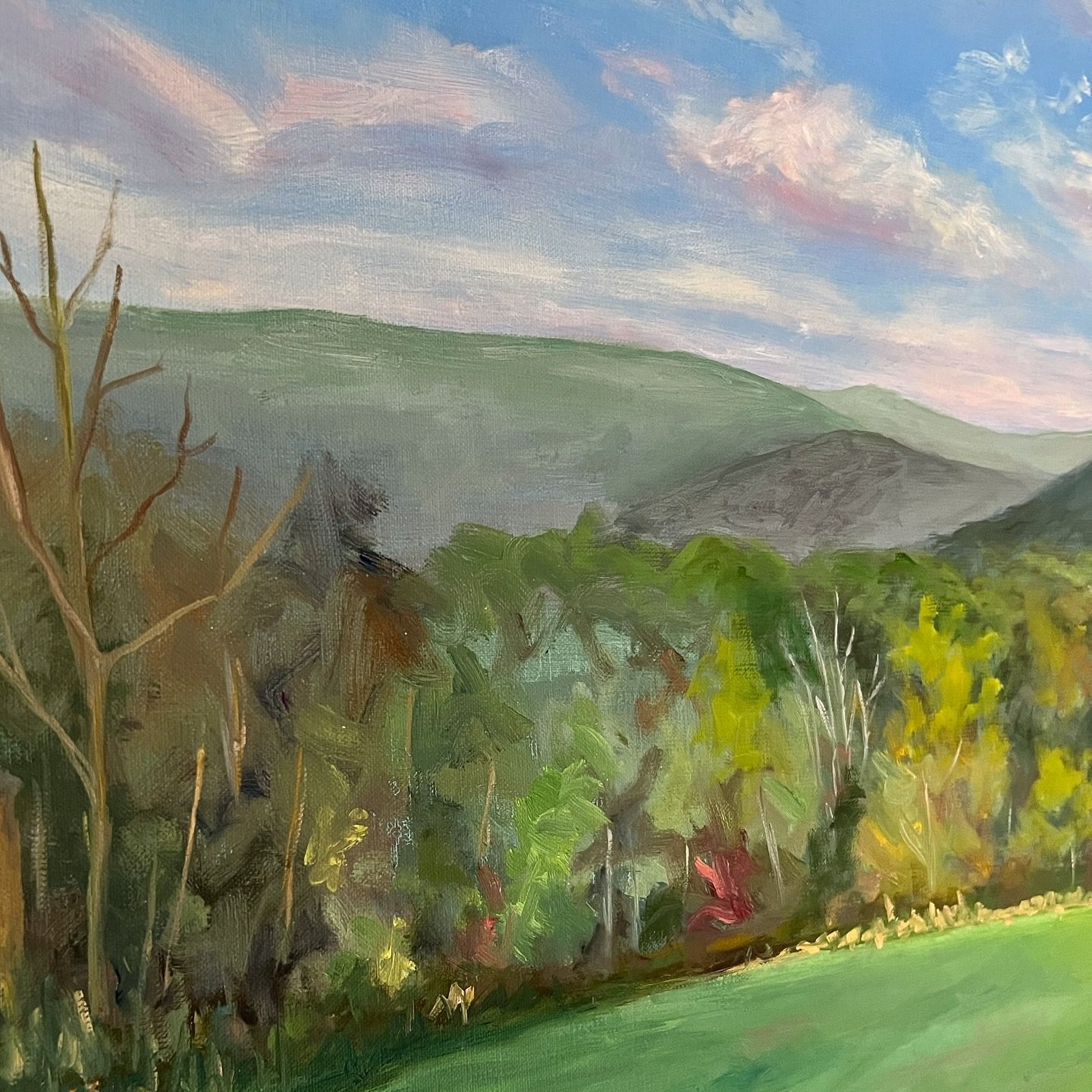 Close up of a recent commission. I love painting the beautiful Blue Ridge Mountains that surround us here in Charlottesville!☀️💚
#blueridgemountains #commission #virginiaartist