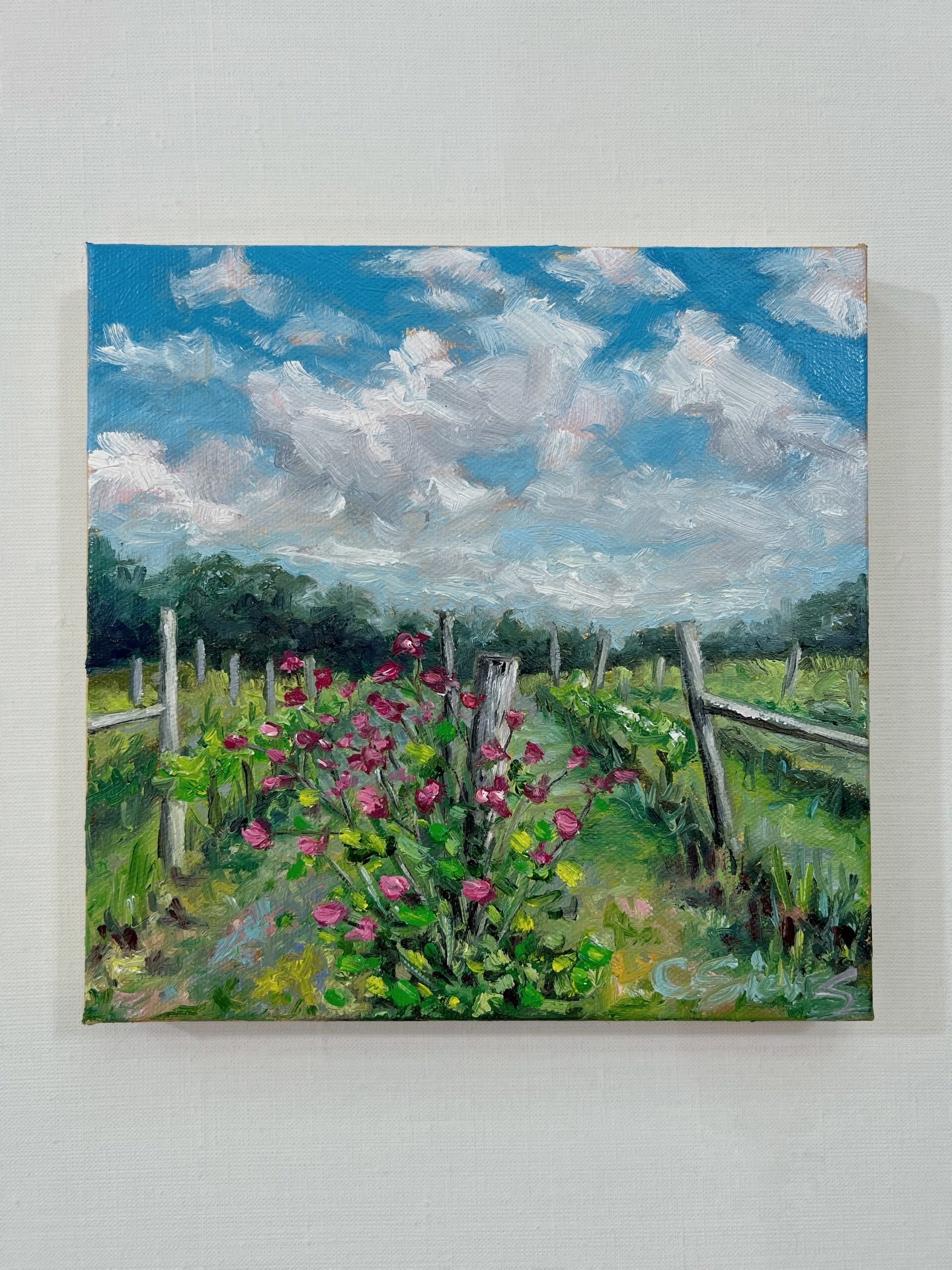 &ldquo;Roses in the Vineyard&rdquo;
12&times;12, oil on linen
Light moving through a summer field.
Sold