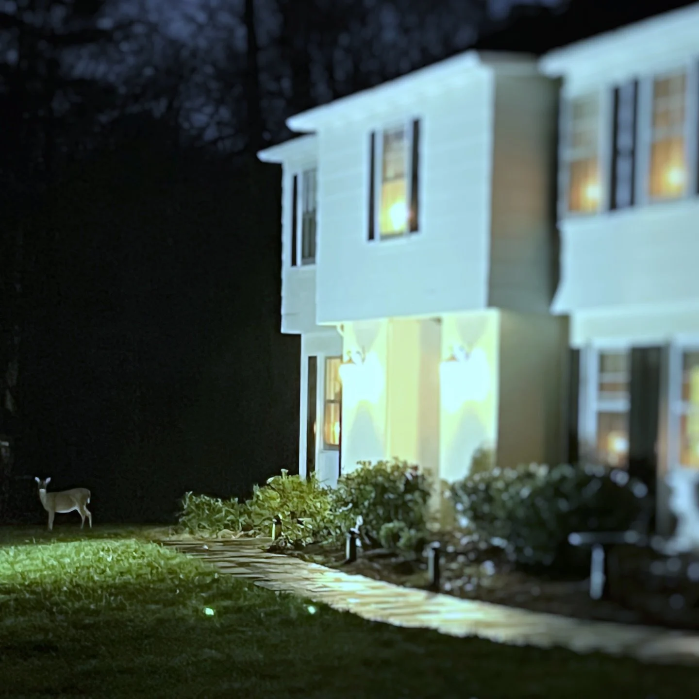 December ❤️❄️✨🎄🎁💫

Happy Birthday Shelley!! Surprise!💞🥂🎂
@sbishop1230