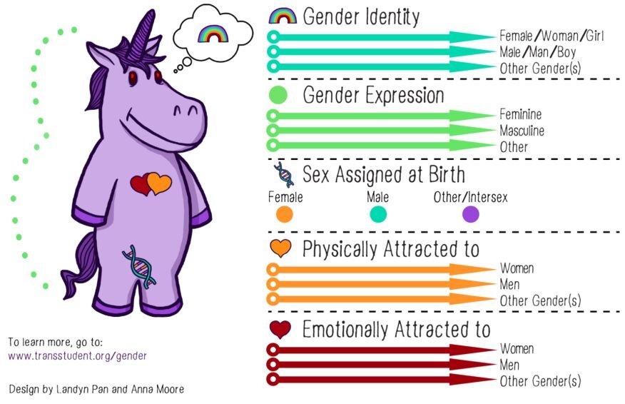 The infamous “Gender Unicorn” which is now in almost all schools, operating like a kind of surreal equid pied piper mesmerizing and confusing our most vulnerable children.