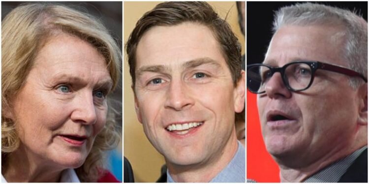 Left to Right: Karen McCrimmon, Will Amos, Adam Vaughan. (Photo from The Hill Times)