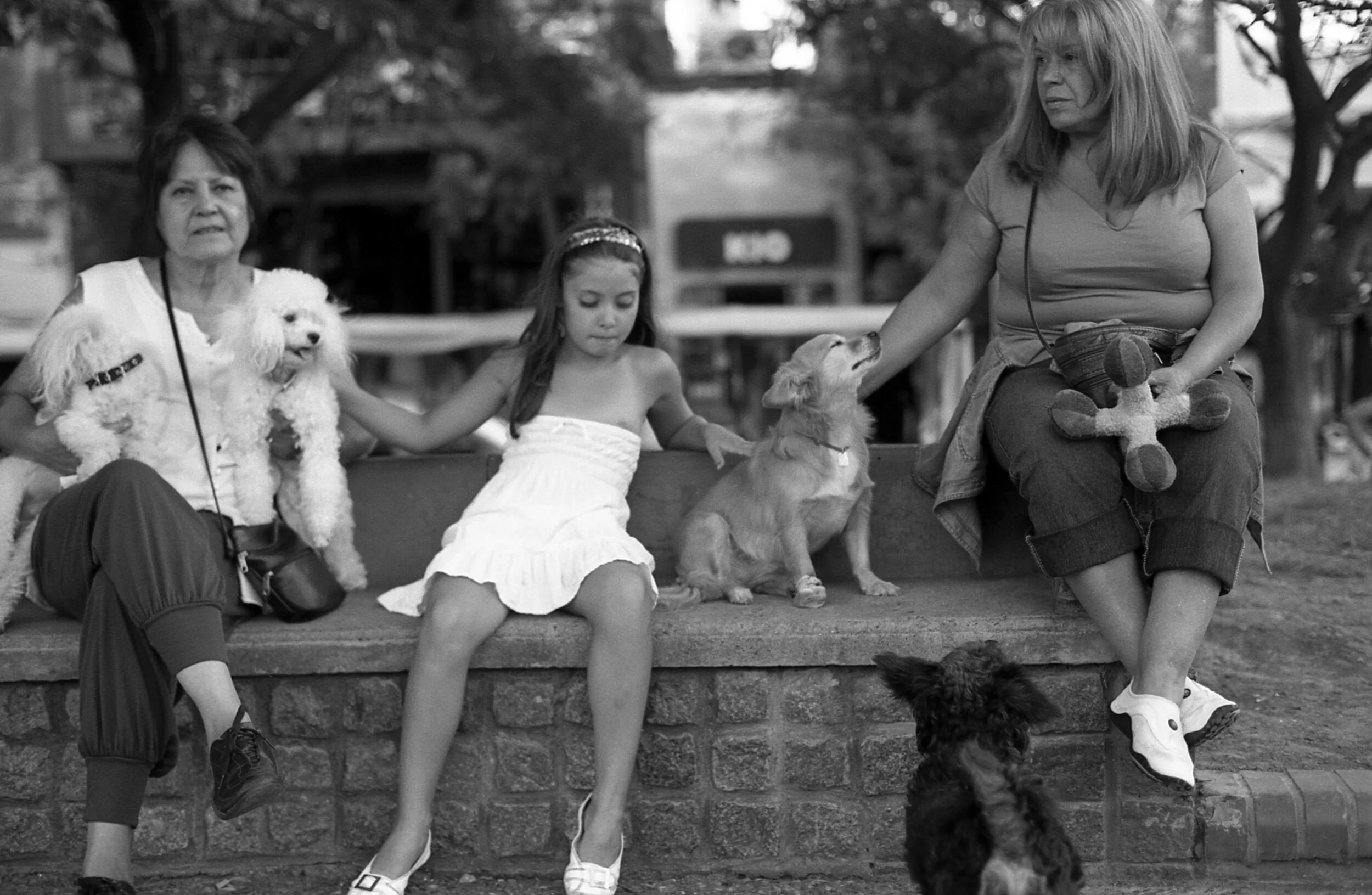 campaña del desierto, buenos aires