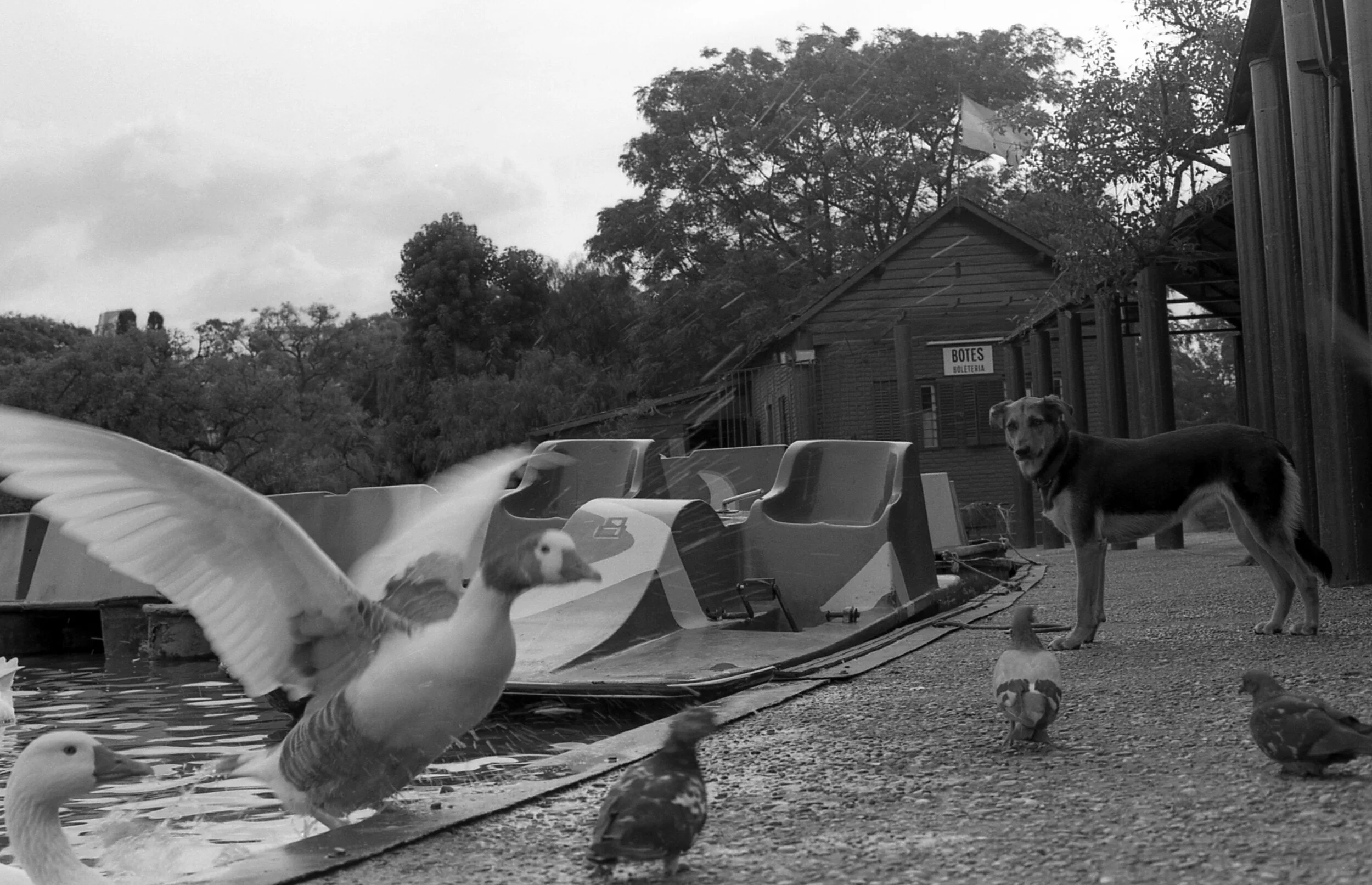 palermo, buenos aires