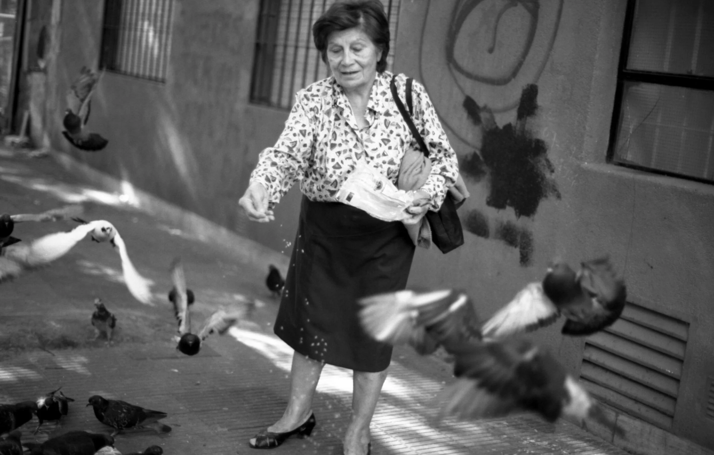 palermo viejo, buenos aires