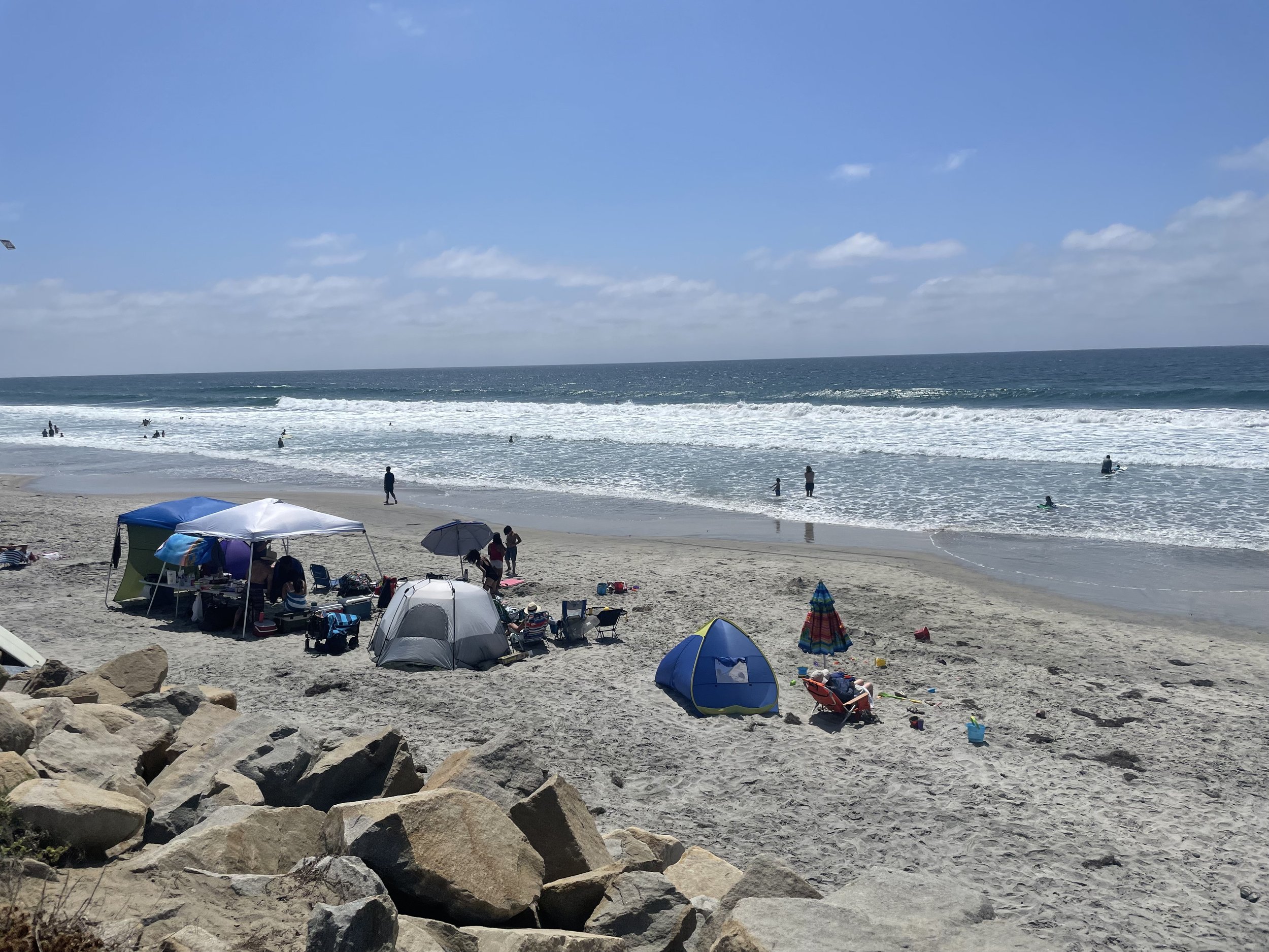 IMG_2313.jpeg