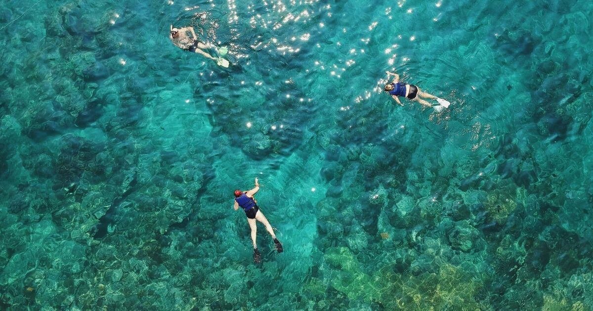 Best-Snorkeling-Spots-on-Big-Island-Hawaii.jpeg