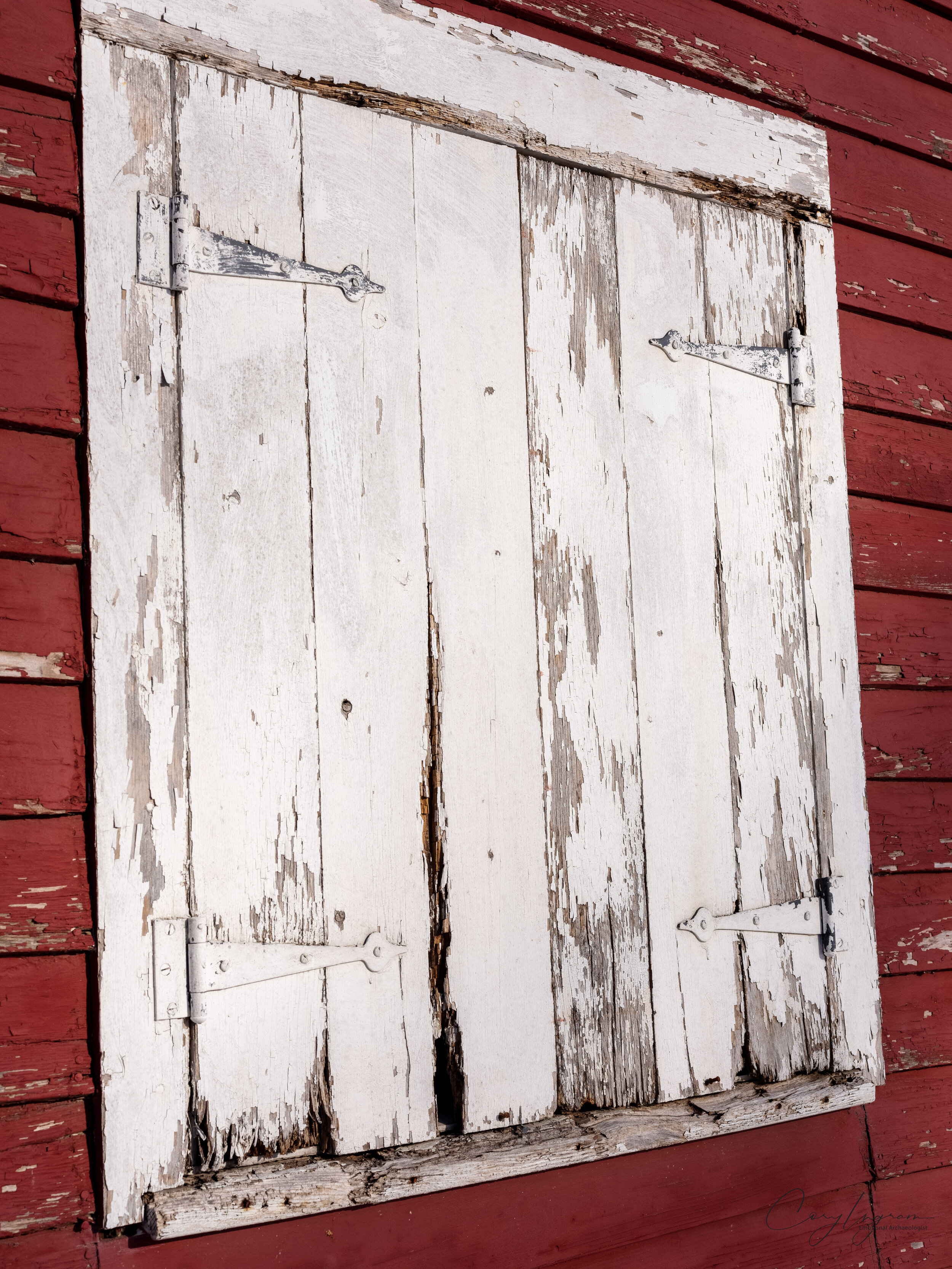 Window.jpg