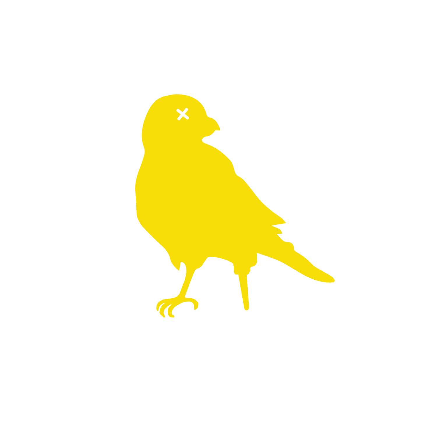 Brash Canary