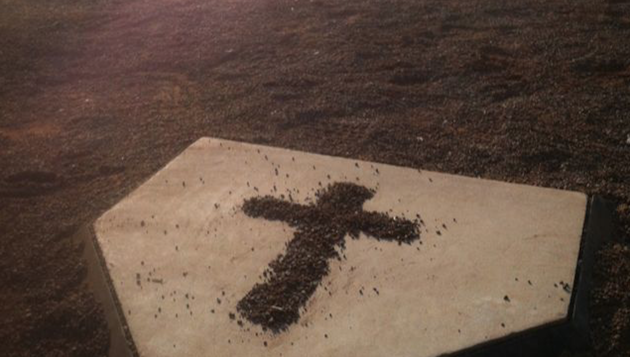 Arrogance of Knowledge (Bot9 #259)