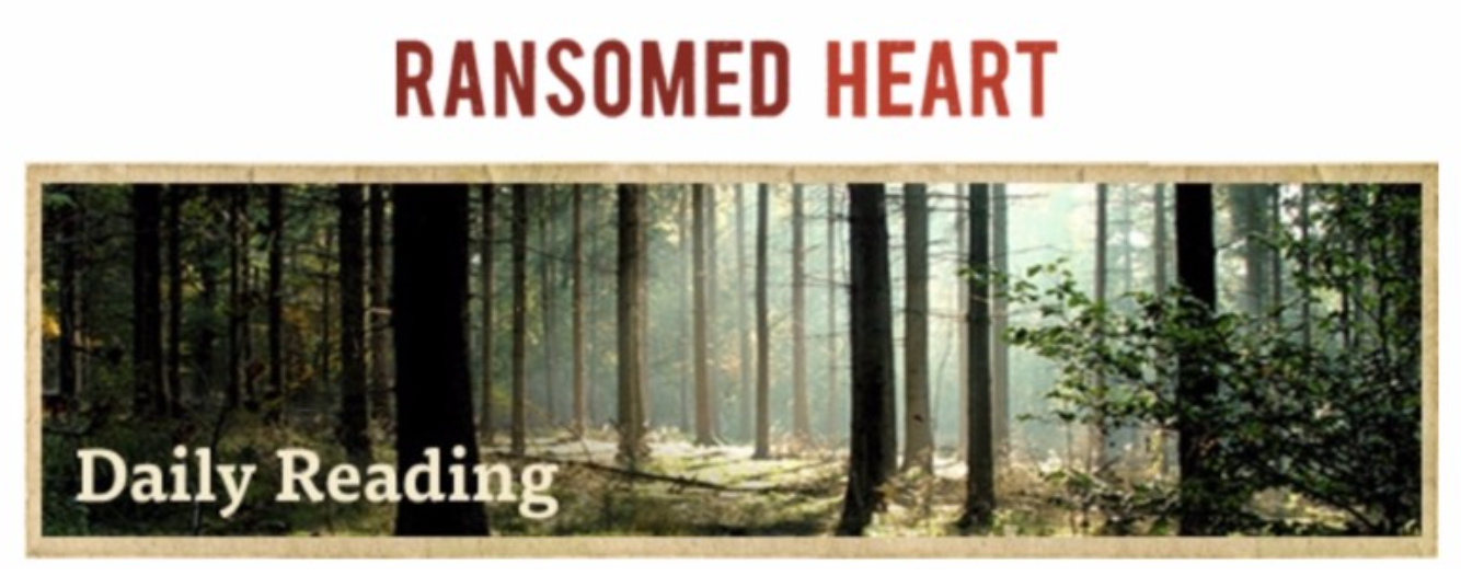 Ransomed Heart (Bot9 #207)