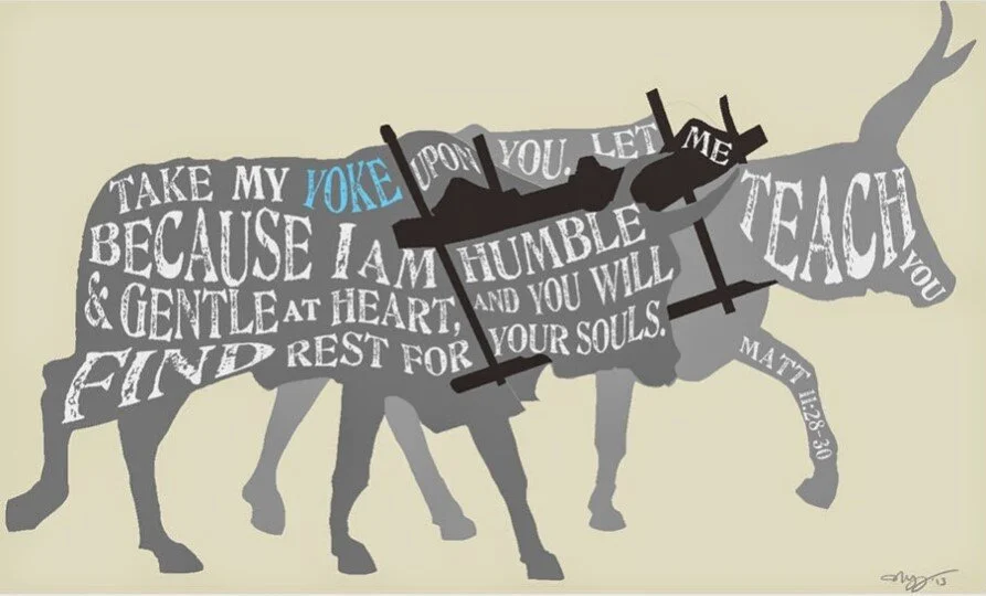 eDgbnfaT05wQAHu44vtxuExwRjzABCSDFO0B88eYT3nLDfGxJY_PR_H42e6FyDK-OtX4MHvRUttG6iEZ9jjKIRRWw36vAnf6pYj4S-GS4FPtr5-f6lwDa3DaDcg769XFPIfmX7wMl3BvSOg1hGPTLGxXV