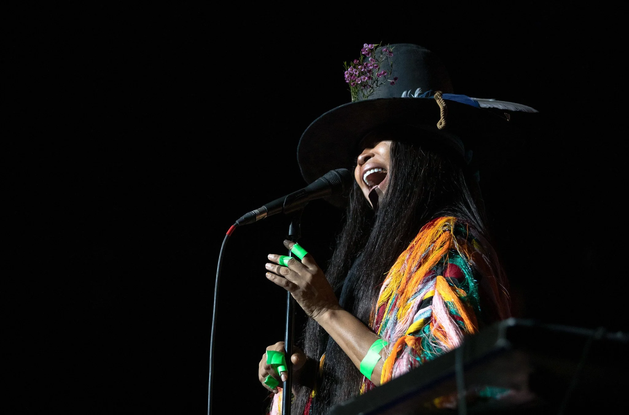 Badu2.jpg
