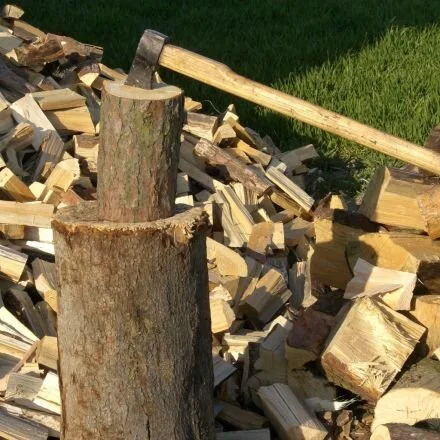 Micro mindset during scary times:        Chop Wood. Carry Water.