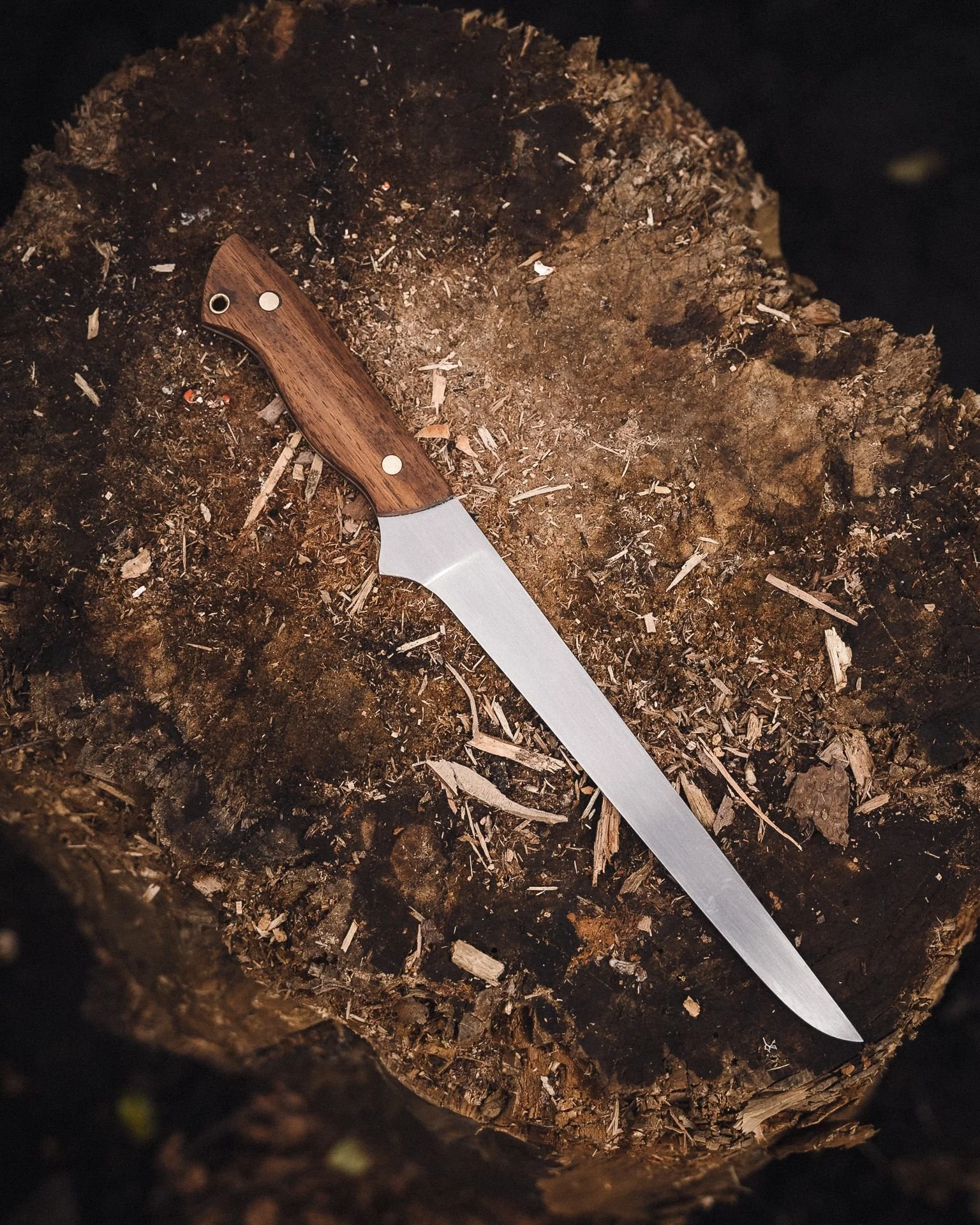 Handmade filleting knife with a timber handle and lanyard eyelet, full blade profile, on a tree stump