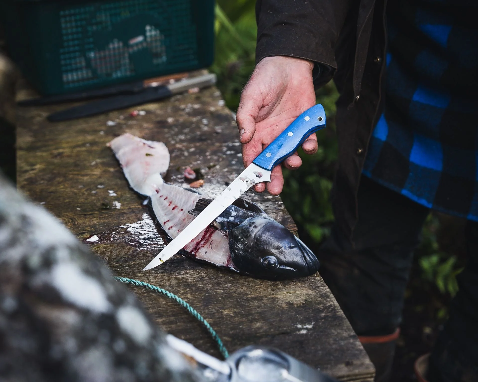 Blue-handled filleting knife in hand, taking a fillet off a fish on an outdoor table