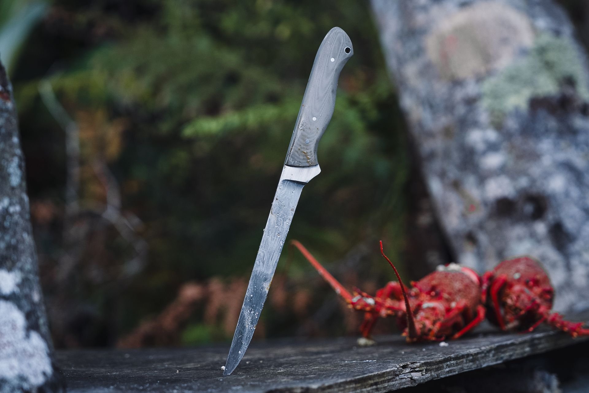 Grey micarta filleting knife standing in a plank, crayfish soft-focus behind