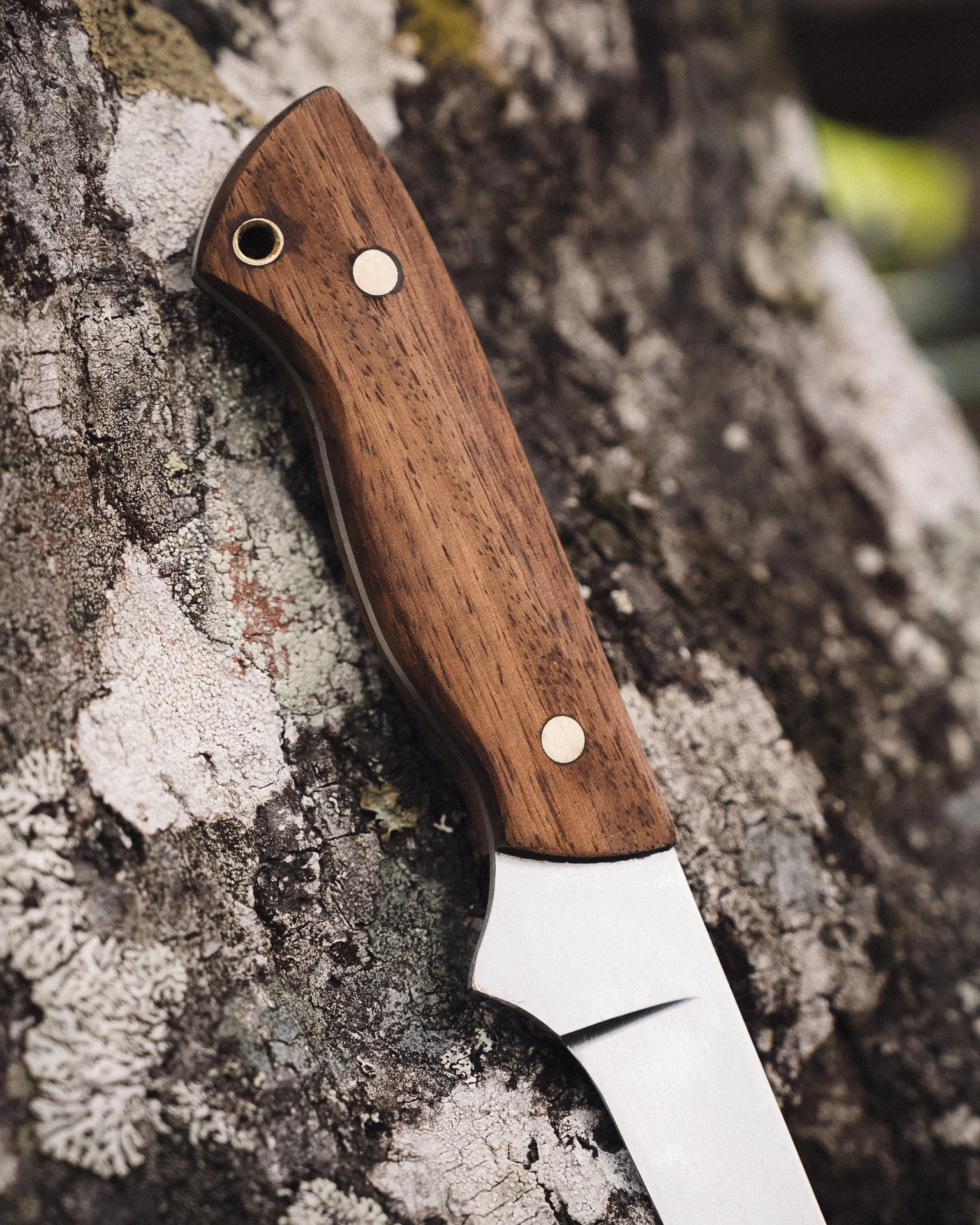 A hand made fish filleting knife with a wooden handle and a stainless steel blade resting on a tree trunk with lichen.