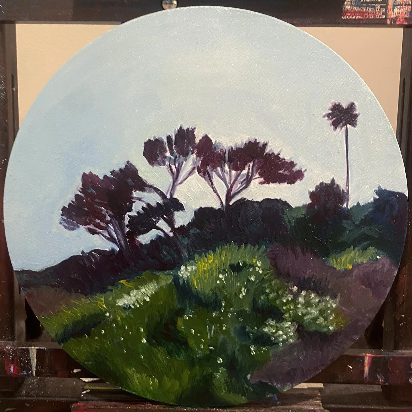 Lil study - California landscape 2023